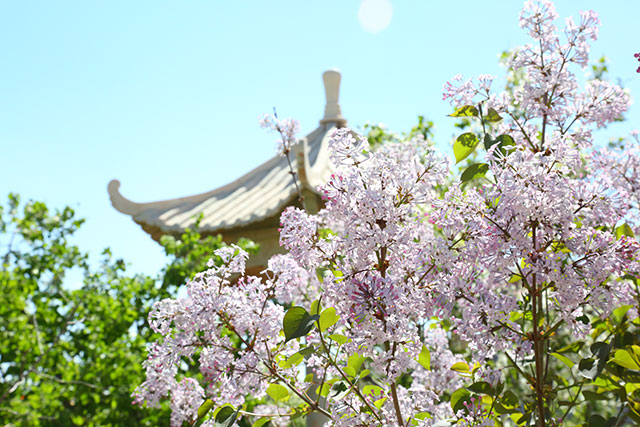 ���ͺ����¶������ѧУ