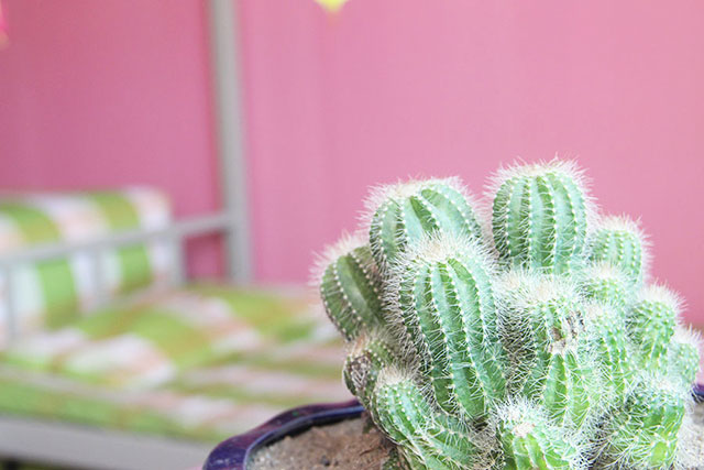 ѧ������