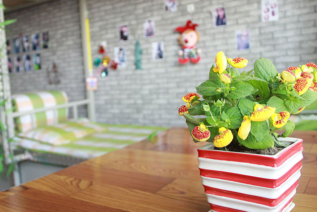 ѧ������